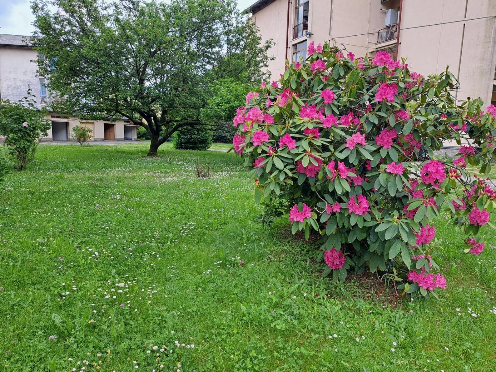 Seraval Valsesia Apartment Serravalle Sesia Bagian luar foto